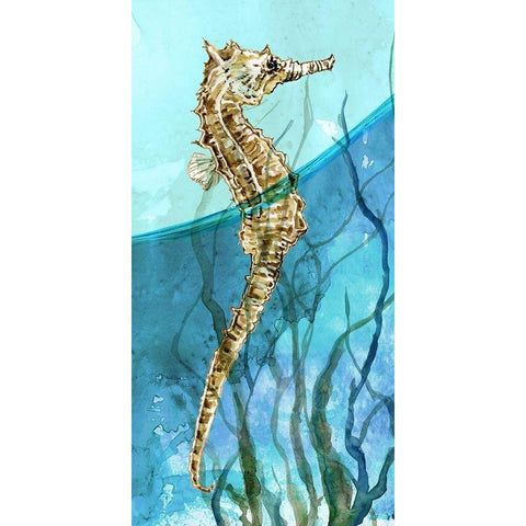 Atlantic Seahorse Gold Ornate Wood Framed Art Print with Double Matting by Robinson, Carol