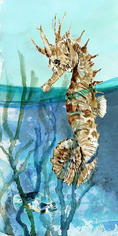 Pacific Seahorse White Modern Wood Framed Art Print with Double Matting by Robinson, Carol