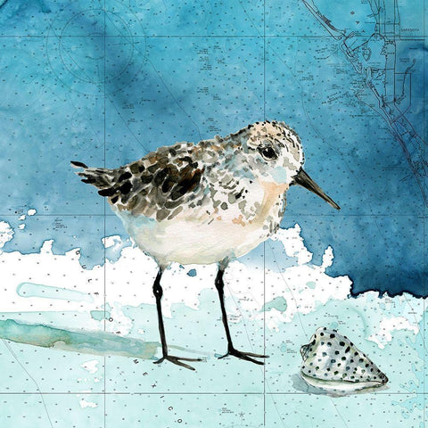 Bay Shore Sandpiper I Black Modern Wood Framed Art Print with Double Matting by Robinson, Carol