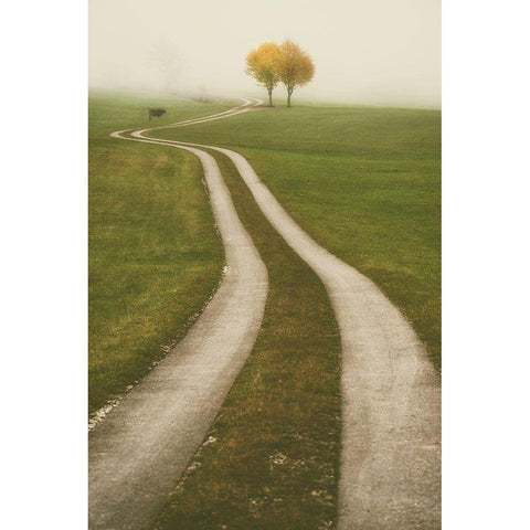 Winding Path Black Modern Wood Framed Art Print with Double Matting by Van de Goor, Lars