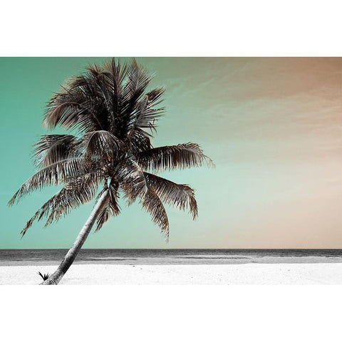 Barrier Reef Black Modern Wood Framed Art Print by Delimont, Danita