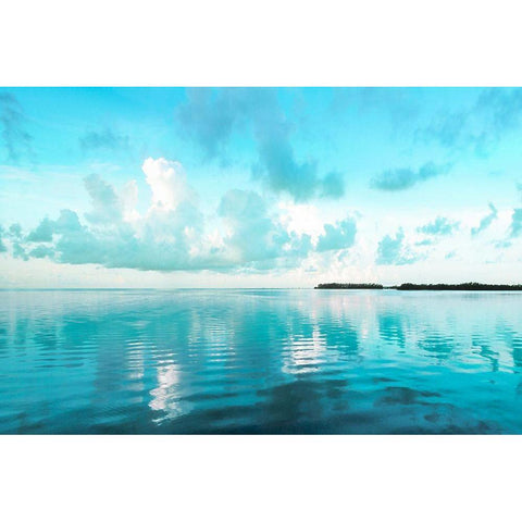Biscayne Bay Black Modern Wood Framed Art Print by Delimont, Danita