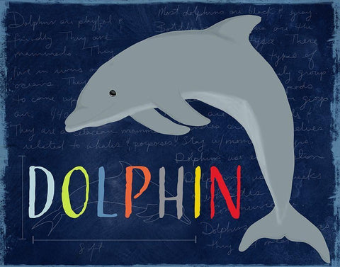 Dolphin White Modern Wood Framed Art Print with Double Matting by Santiago, Daniela