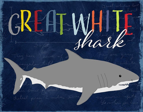 Great White Shark White Modern Wood Framed Art Print with Double Matting by Santiago, Daniela