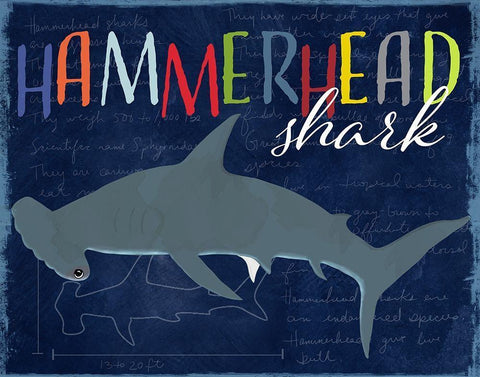 Hammerhead Shark Black Ornate Wood Framed Art Print with Double Matting by Santiago, Daniela