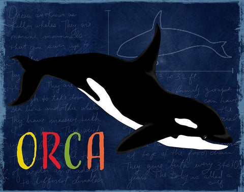 Orca Black Ornate Wood Framed Art Print with Double Matting by Santiago, Daniela