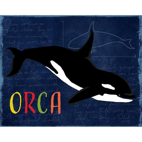 Orca Black Modern Wood Framed Art Print by Santiago, Daniela