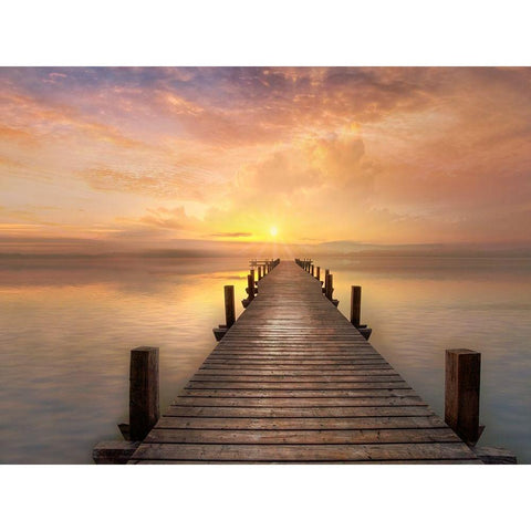 Comfort Bay White Modern Wood Framed Art Print by Calascibetta, Mike
