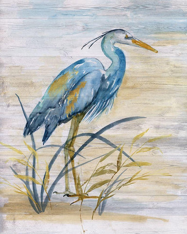 Blue Heron I Black Ornate Wood Framed Art Print with Double Matting by Nan