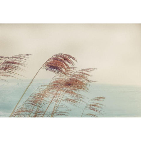 Windy I Black Modern Wood Framed Art Print by Weisz, Irene