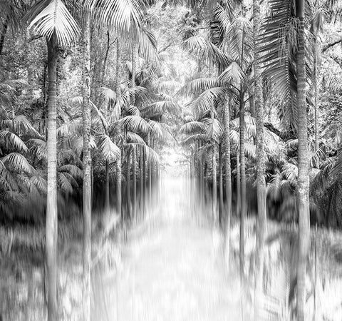 Azores Reflection Black Ornate Wood Framed Art Print with Double Matting by Bibikow, Walter