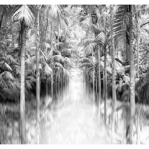 Azores Reflection Black Modern Wood Framed Art Print by Bibikow, Walter