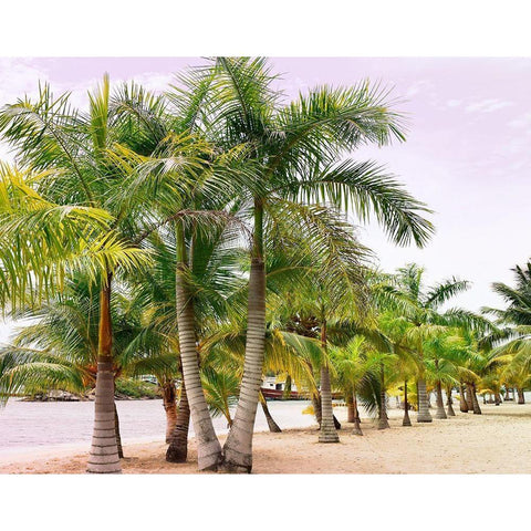 Summer Day Black Modern Wood Framed Art Print by Carpentieri, Natalie