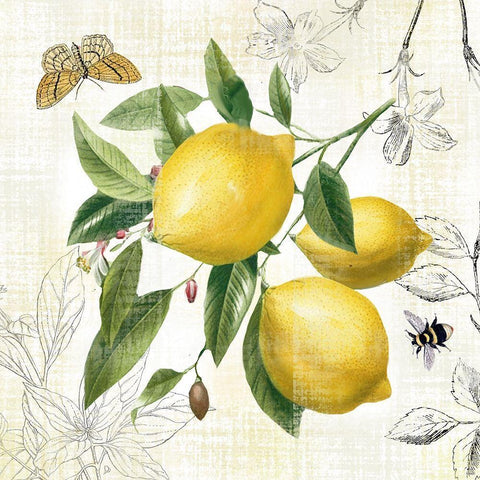 Linen Lemons II White Modern Wood Framed Art Print by Nan