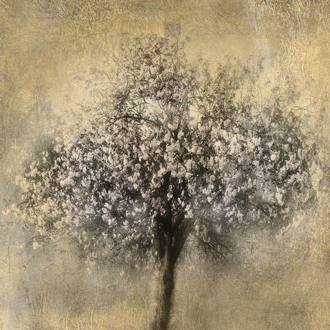 Gold Blossoms Black Ornate Wood Framed Art Print with Double Matting by Weisz, Irene