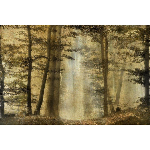 Golden Magic White Modern Wood Framed Art Print by Weisz, Irene