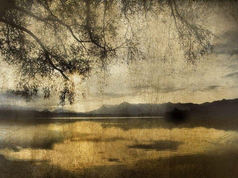 Golden Staffelsee Lake Black Ornate Wood Framed Art Print with Double Matting by Weisz, Irene