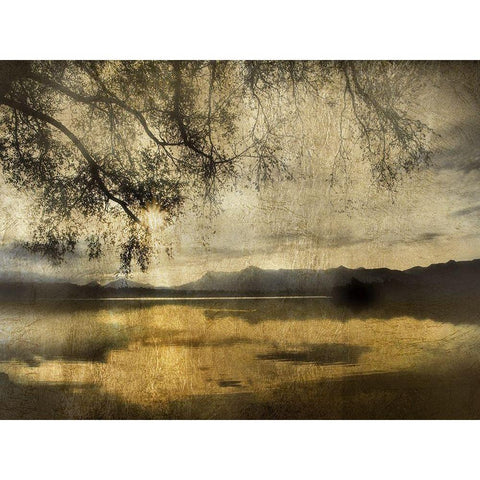 Golden Staffelsee Lake White Modern Wood Framed Art Print by Weisz, Irene
