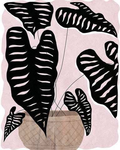 Potted Plant II White Modern Wood Framed Art Print with Double Matting by Santiago, Daniela