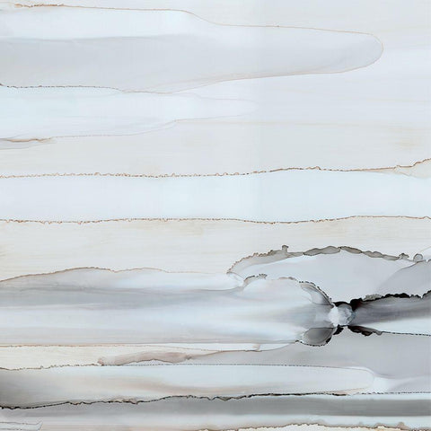 Sunkissed Horizons II Black Modern Wood Framed Art Print by Robinson, Carol