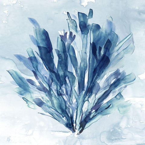 Coastal Coral I Black Modern Wood Framed Art Print by Robinson, Carol