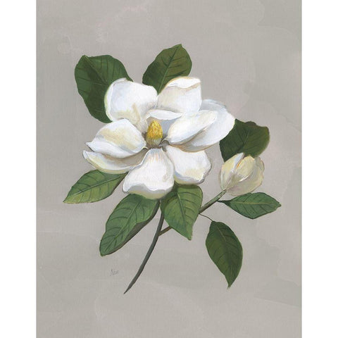 Botanical Magnolia Gold Ornate Wood Framed Art Print with Double Matting by Nan