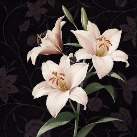 Lily Elegante White Modern Wood Framed Art Print by Levashov, Igor
