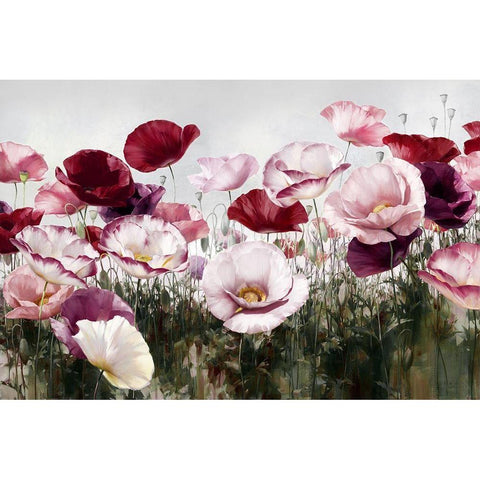 Royal Poppy White Modern Wood Framed Art Print by Levashov, Igor