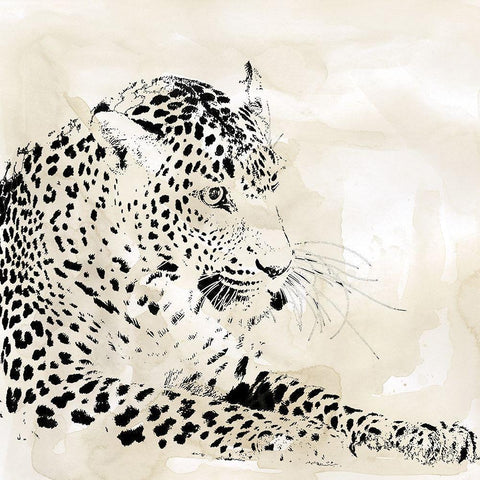 Leopard Spots I White Modern Wood Framed Art Print with Double Matting by Robinson, Carol