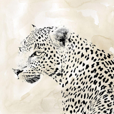 Leopard Spots II White Modern Wood Framed Art Print with Double Matting by Robinson, Carol