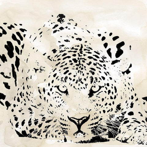 Leopard Spots III Black Modern Wood Framed Art Print with Double Matting by Robinson, Carol