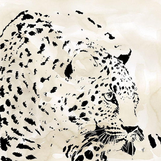 Image Only
