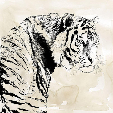 Tiger Stripes I White Modern Wood Framed Art Print with Double Matting by Robinson, Carol