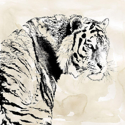 Image Only