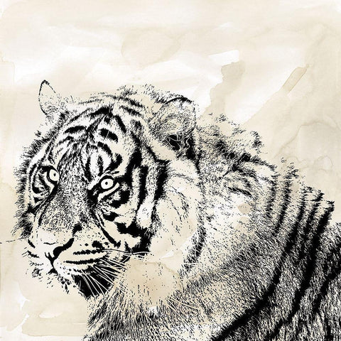 Tiger Stripes II White Modern Wood Framed Art Print by Robinson, Carol