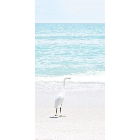 Summer Egret I White Modern Wood Framed Art Print by Carpentieri, Natalie
