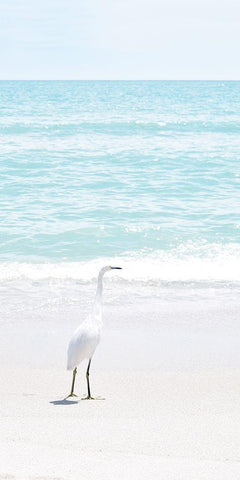 Summer Egret I Black Ornate Wood Framed Art Print with Double Matting by Carpentieri, Natalie