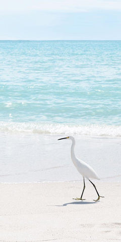 Summer Egret II Black Ornate Wood Framed Art Print with Double Matting by Carpentieri, Natalie