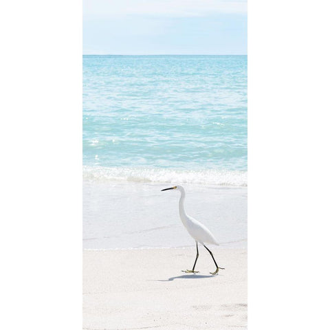 Summer Egret II Black Modern Wood Framed Art Print with Double Matting by Carpentieri, Natalie