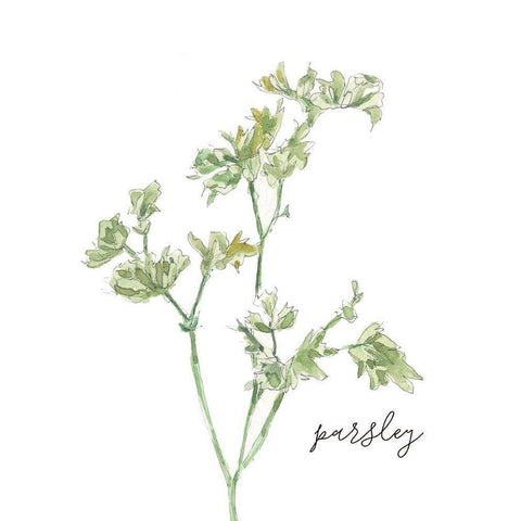 Fresh Sprig Parsley Gold Ornate Wood Framed Art Print with Double Matting by Robinson, Carol