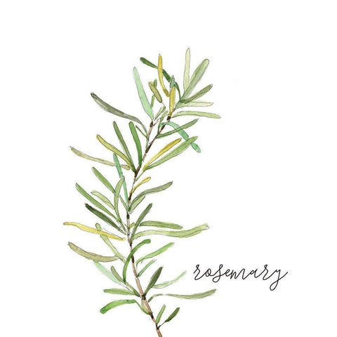 Fresh Sprig Rosemary Black Modern Wood Framed Art Print by Robinson, Carol