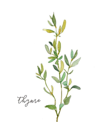 Fresh Sprig Thyme Black Ornate Wood Framed Art Print with Double Matting by Robinson, Carol