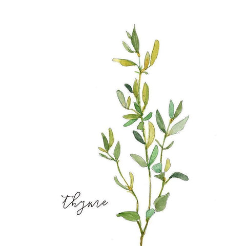 Fresh Sprig Thyme Gold Ornate Wood Framed Art Print with Double Matting by Robinson, Carol