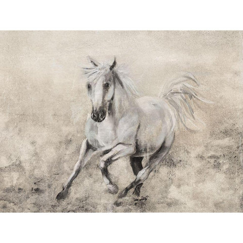 Majestic Stallion II White Modern Wood Framed Art Print by Brooks, Donna