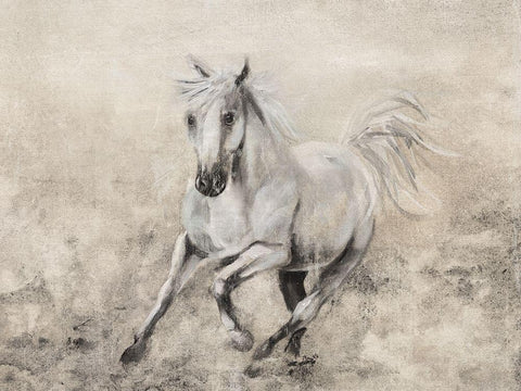 Majestic Stallion II White Modern Wood Framed Art Print with Double Matting by Brooks, Donna