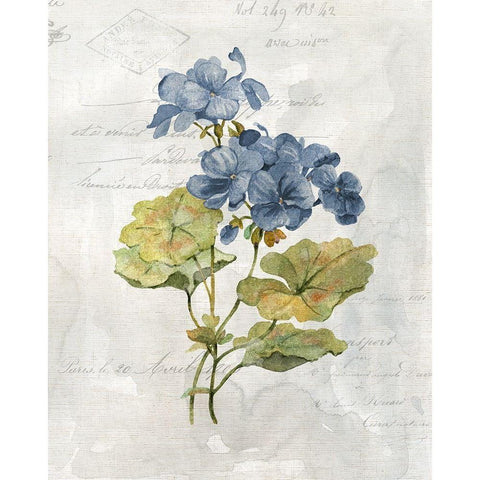 Blue Linen Geranium White Modern Wood Framed Art Print by Robinson, Carol