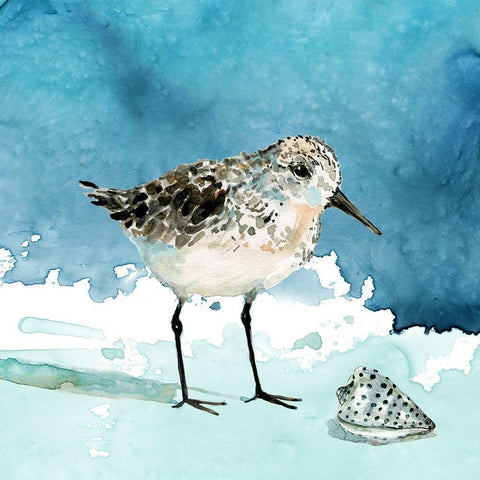 Delray Sandpiper I White Modern Wood Framed Art Print by Robinson, Carol