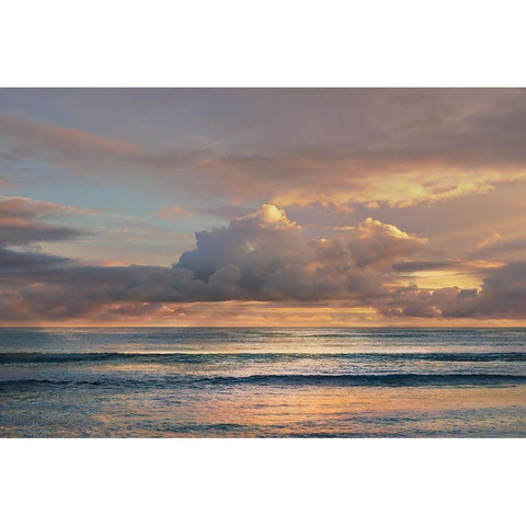 A Morning Meditation White Modern Wood Framed Art Print by Calascibetta, Mike