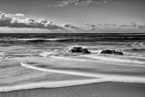 Whispering Sands Beach Black Ornate Wood Framed Art Print with Double Matting by Collins, Ann