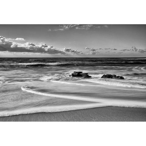Whispering Sands Beach Gold Ornate Wood Framed Art Print with Double Matting by Collins, Ann